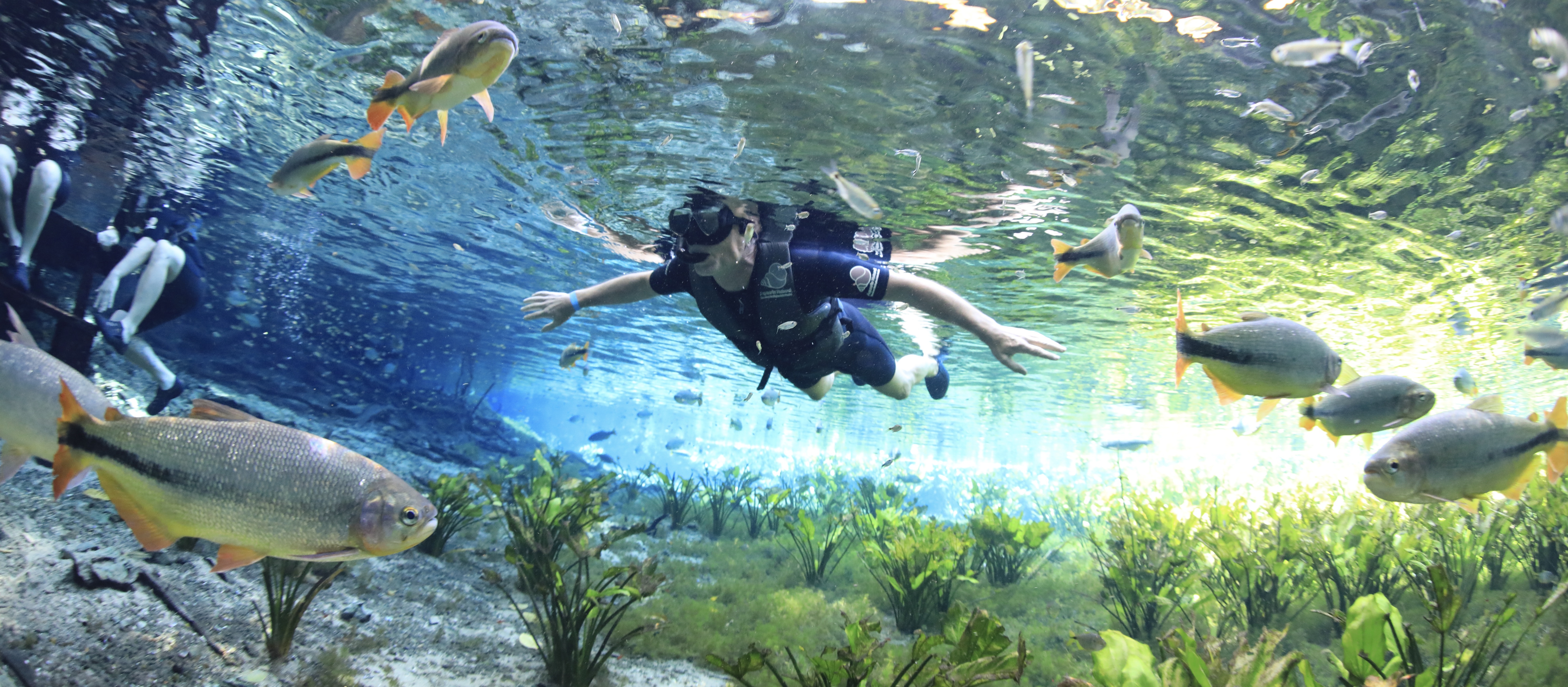 bonito bonito Bonito !