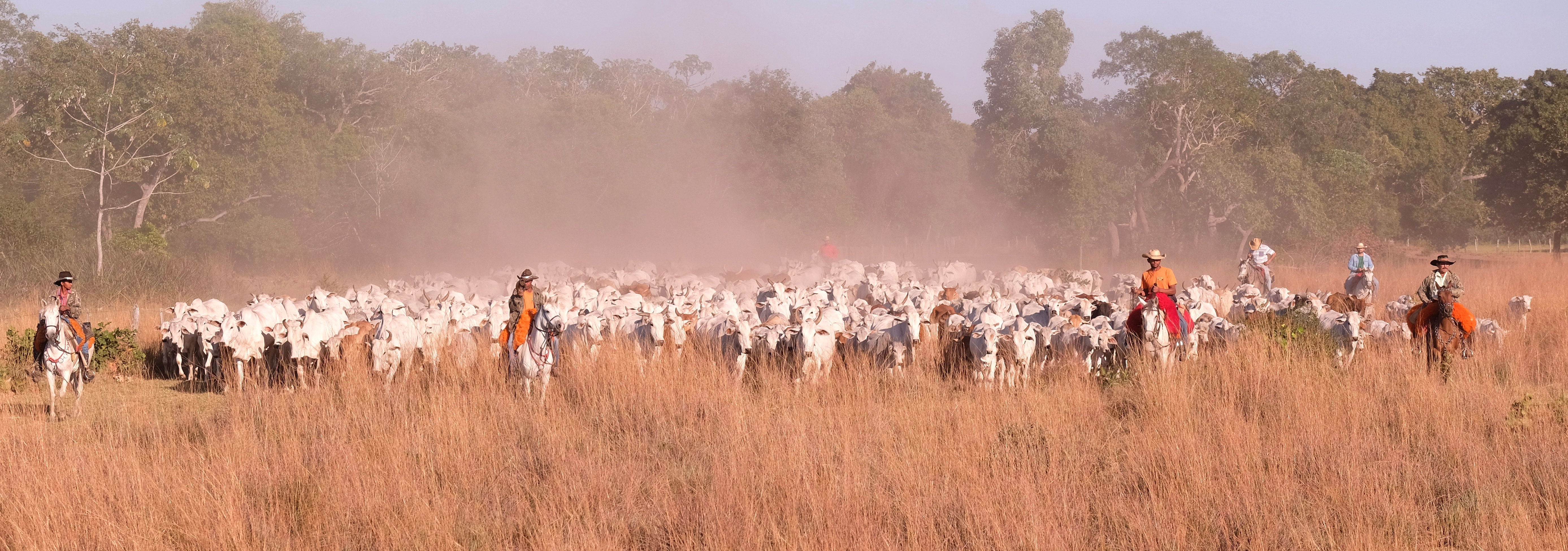 Lucky Rule & Mighty Mike