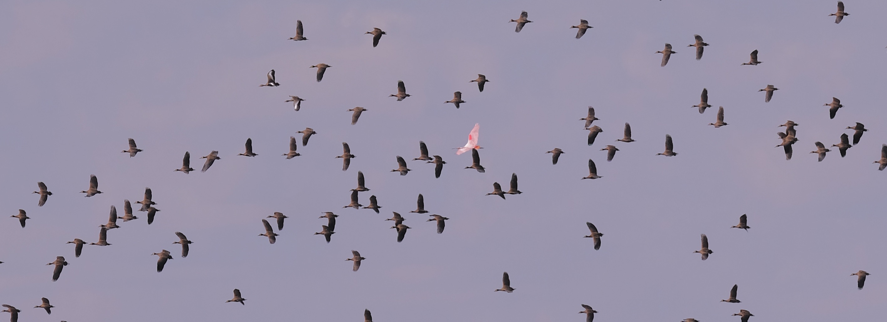 The Creator creates, the Maker makes